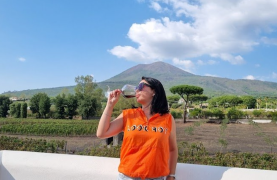 Vesuvius Wine Tasting Guided Tour